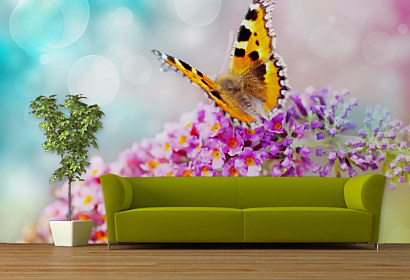 Tapeta Flower Butterfly 29195