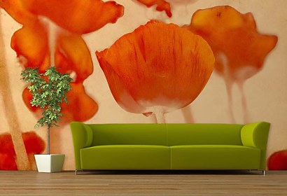 Fototapeta Poppy Flower 2044