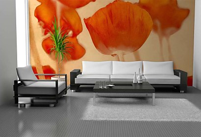Fototapeta Poppy Flower 2044
