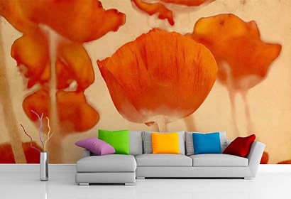 Fototapeta Poppy Flower 2044