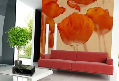 Fototapeta Poppy Flower 2044