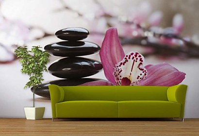 Fototapeta Lily and Therapy Stones 24217