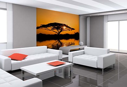 Fototapeta African tree 24122