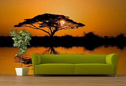 Fototapeta African tree 24122