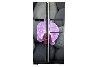 Fototapeta Orchidea na kameni 6856  