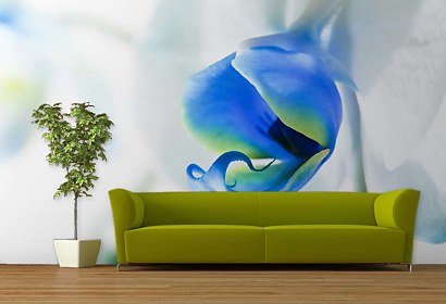 exotic orchid - fototapeta
