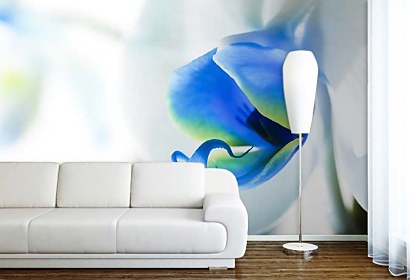 fototapety - exotic orchid