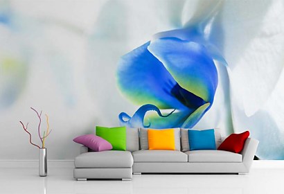 exotic orchid - fototapeta do obývačky