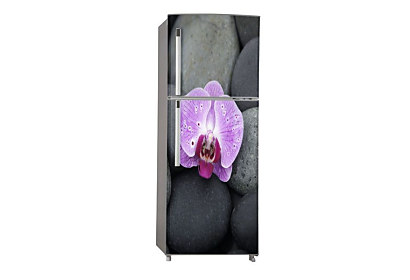 Fototapeta Orchidea na kameni 6856  