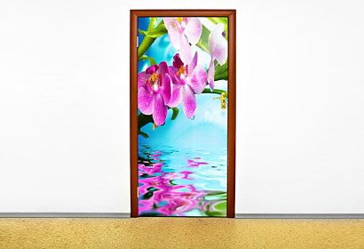 Fototapeta Orchidea nad vodou 6749