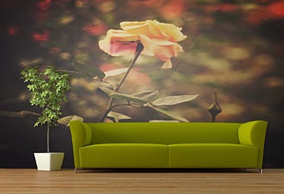 shabby chic rose - fototapety