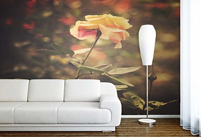 fototapety na stenu shabby chic rose