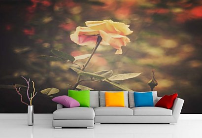 Fototapeta Shabby Chic Rose 5267