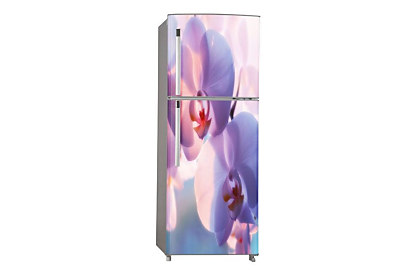 Fototapeta Pekná Orchidea 6046