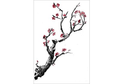 Fototapeta - Japonská višňa 6494