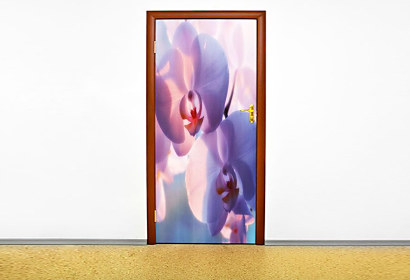 Fototapeta Pekná Orchidea 6046