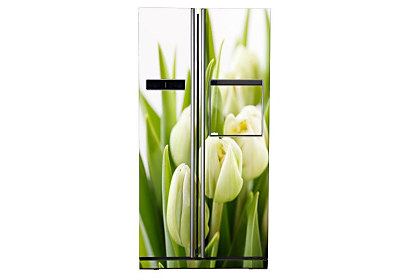 Fototapeta Biele Tulipány 6047