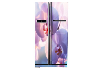 Fototapeta Pekná Orchidea 6046