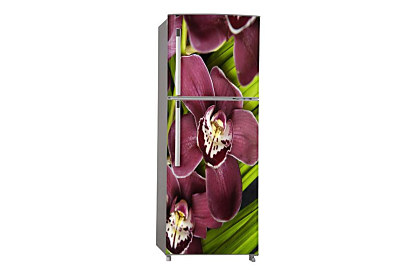 Fototapeta Orchidea 6057