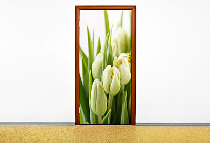 Fototapeta Biele Tulipány 6047