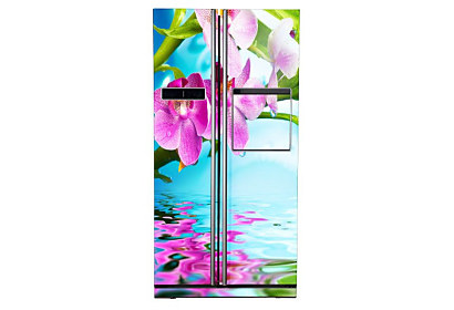 Fototapeta Orchidea nad vodou 6749