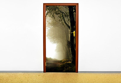 Fototapeta - Tmavý les 6539