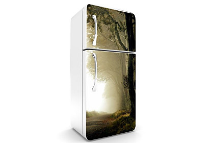 Fototapeta - Tmavý les 6539
