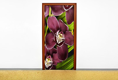 Fototapeta Orchidea 6057