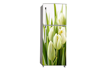 Fototapeta Biele Tulipány 6047