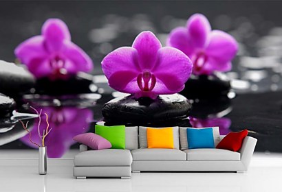 Fototapeta Purple orchid and Zen stones 24284