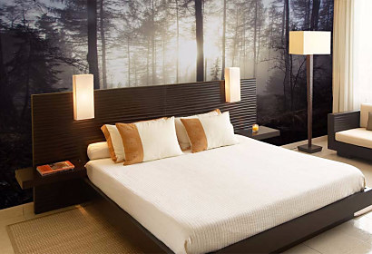 Tapeta Misty Forest 29099