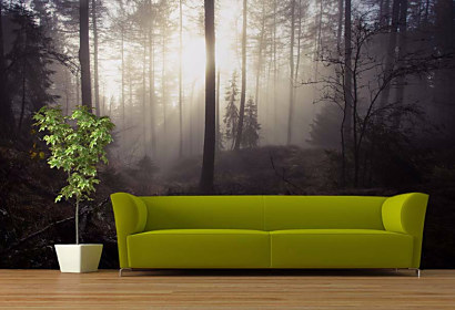 Tapeta Misty Forest 29099