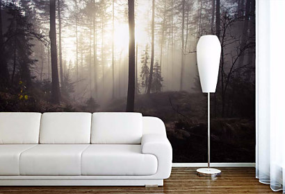 Tapeta Misty Forest 29099