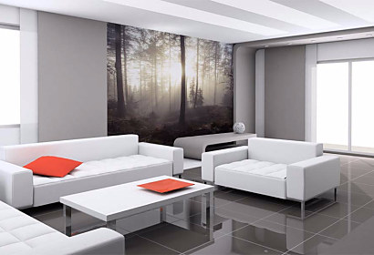 Tapeta Misty Forest 29099