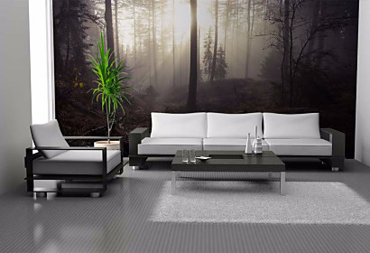 Tapeta Misty Forest 29099