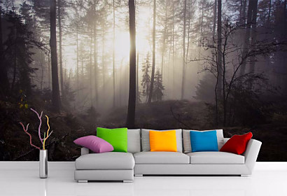 Tapeta Misty Forest 29099