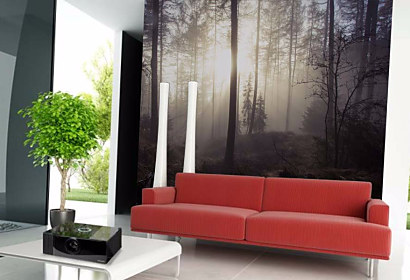 Tapeta Misty Forest 29099