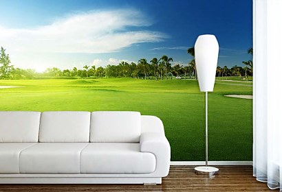 Fototapeta Green Grass 4231