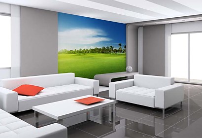 Fototapeta Green Grass 4231