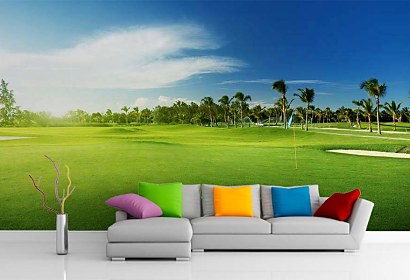 Fototapeta Green Grass 4231