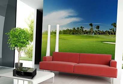 Fototapeta Green Grass 4231