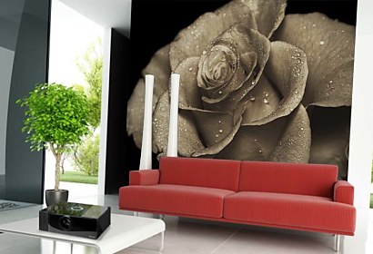 Vintage štýl fototapeta - Rose 5272