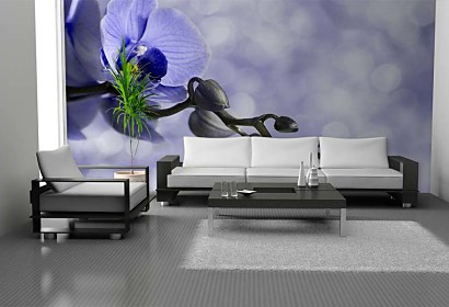 Fototapety Orchidey - Modrá 6375