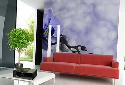 Fototapety Orchidey - Modrá 6375