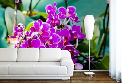 Fototapeta Purple orchid flowers 24286