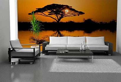 Fototapeta African tree 24122