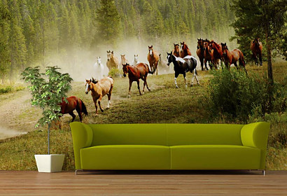 Tapeta Wild horses 29183