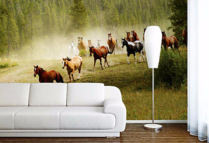 Tapeta Wild horses 29183