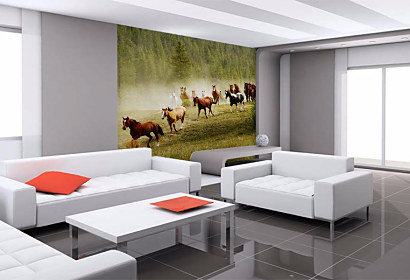 Tapeta Wild horses 29183
