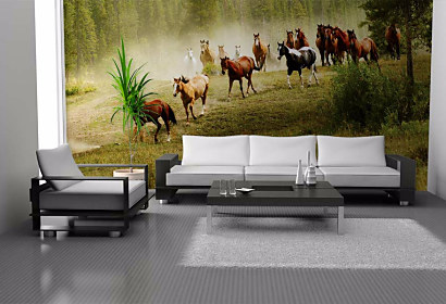 Tapeta Wild horses 29183